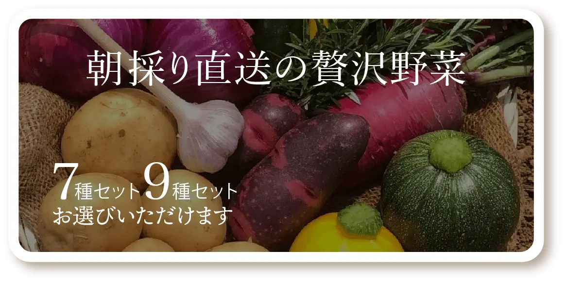 朝採り直送「あいの野菜」初回限定お試しセット 7種セット・9種セットをお選びいただけます