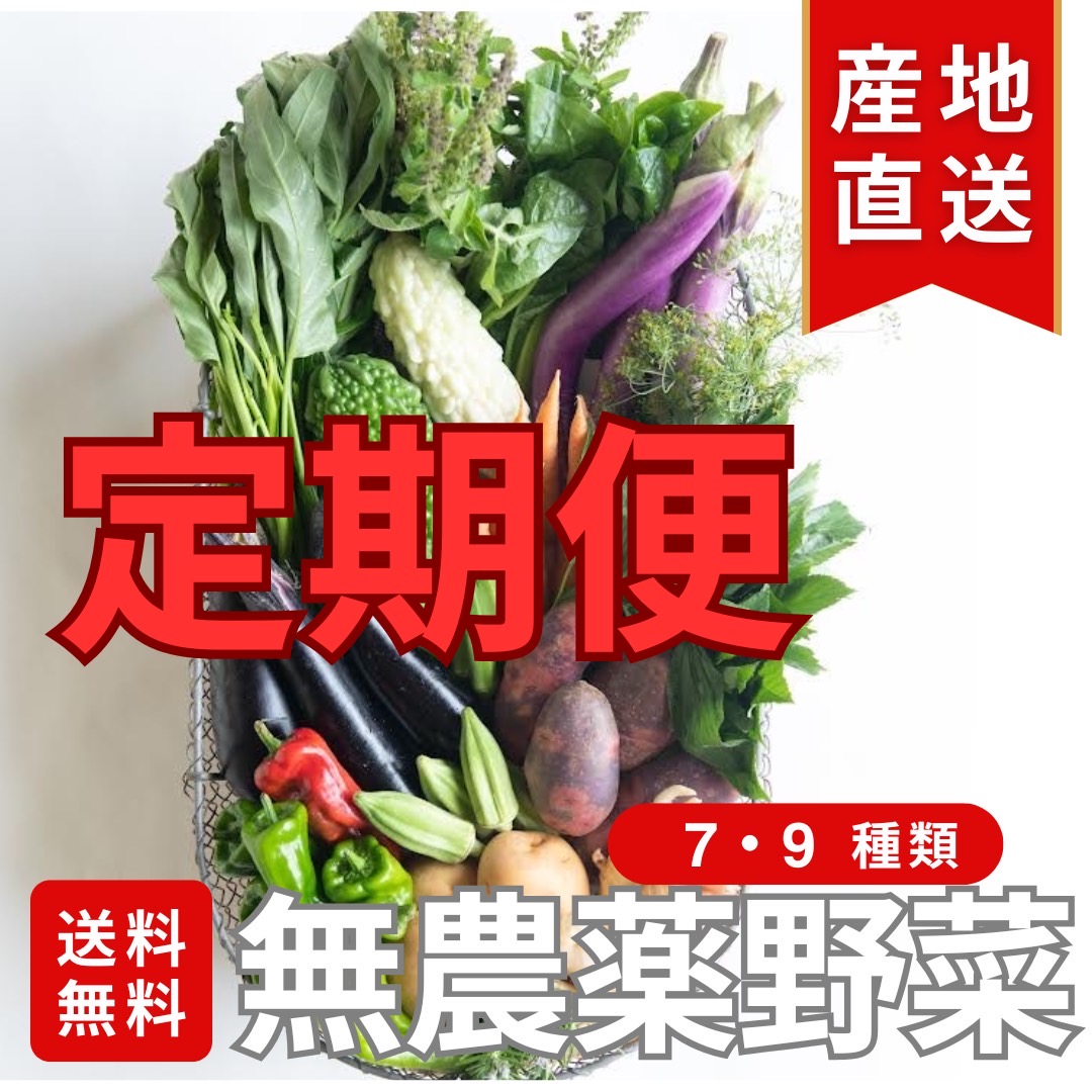 定期便